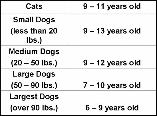 weight chart