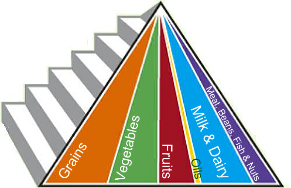 food pyramid