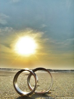 wedding rings
